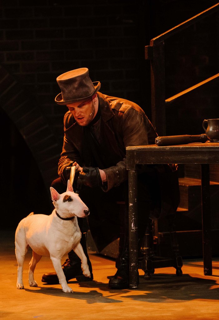 YorkLight-Oliver-2020-Photographer Tom Arber-Jonny Holbek (Bill Sykes) and Roy (Bullseye)